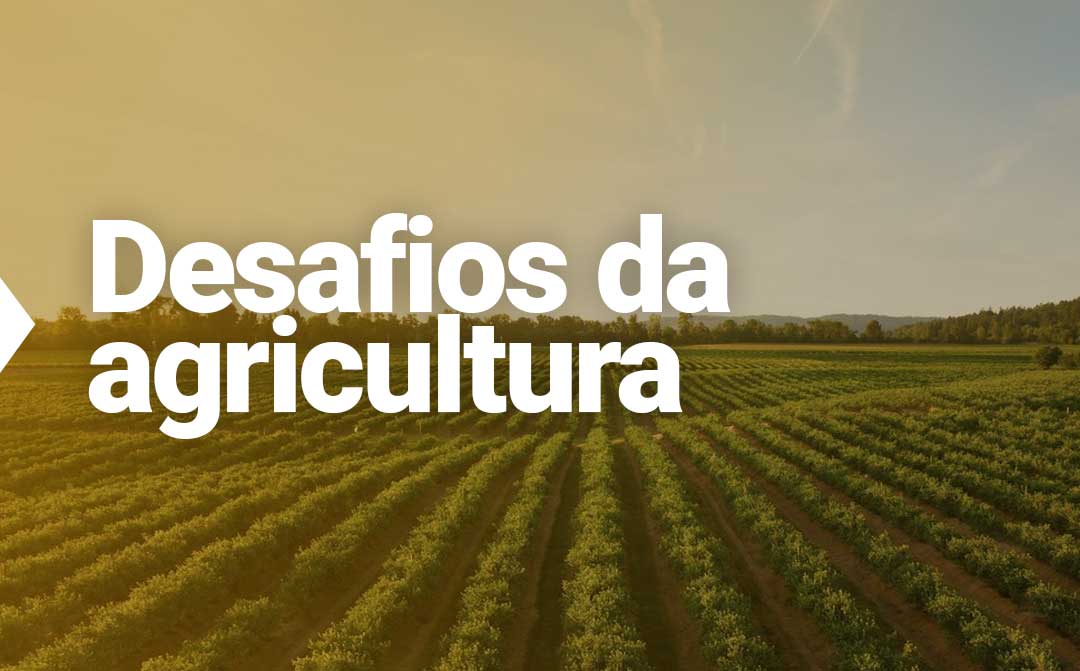 Os Quatro Problemas Da Agricultura No Brasil - TerraMagna