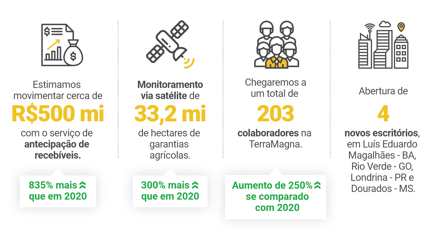 Projeções da TerraMagna para 2021