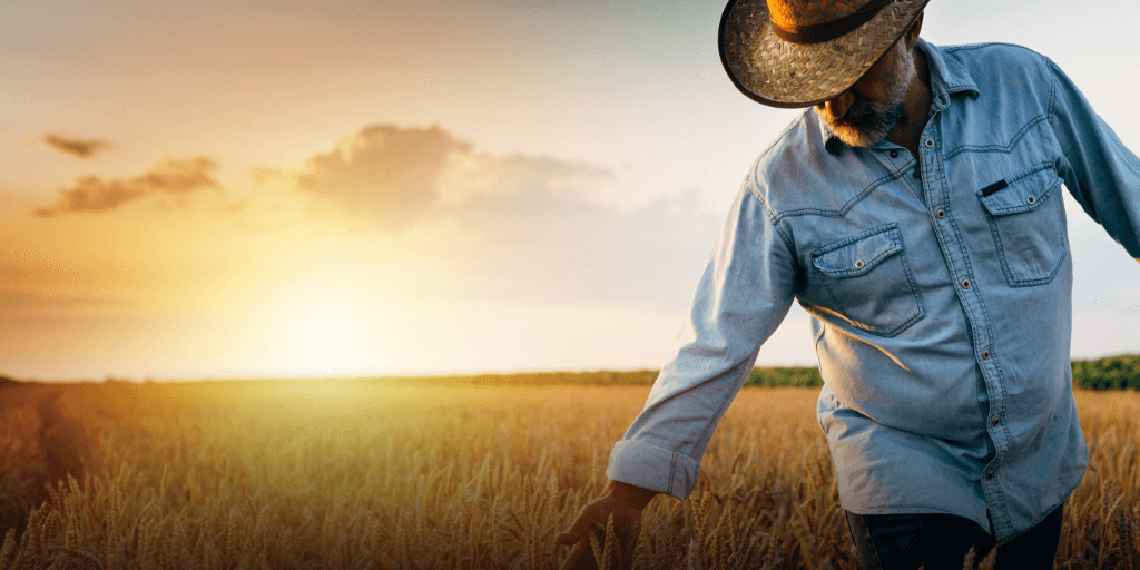 Agricultor com um sol ao fundo ao meio do trigo