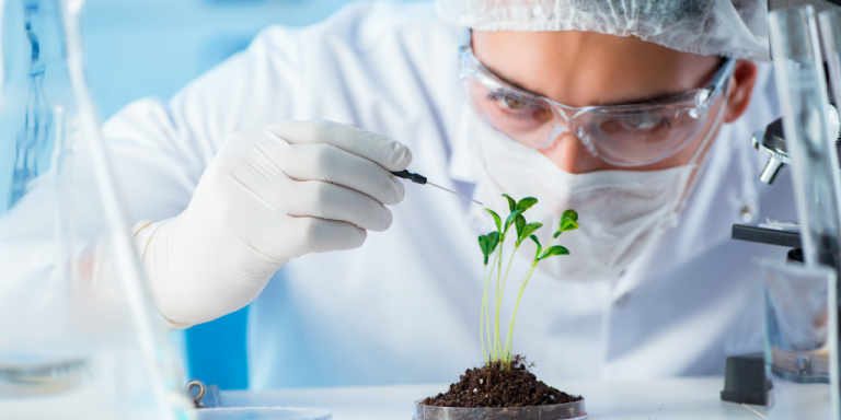 Cientista manipulando planta usando a biotecnologia