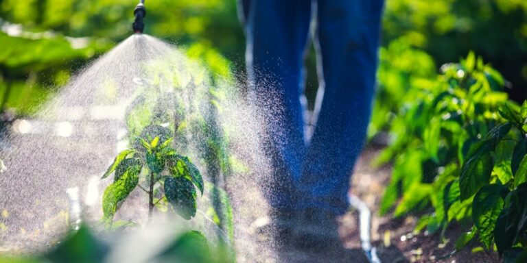 Agricultor pulverizando pesticidas plantas verdes