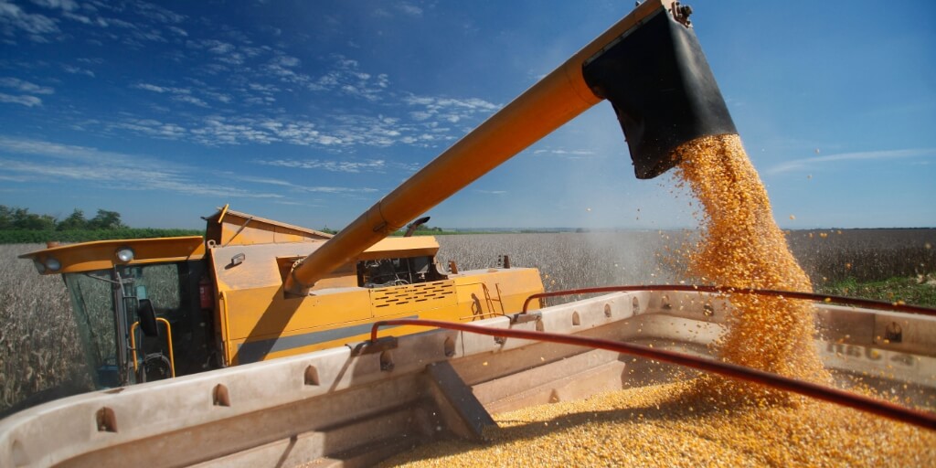 colheita de milho em terras agrícolas no Brasil representando o PIB