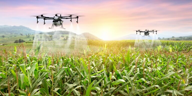 Drones aplicando defensivos na lavoura, representando inteligencia artificial na agricultura
