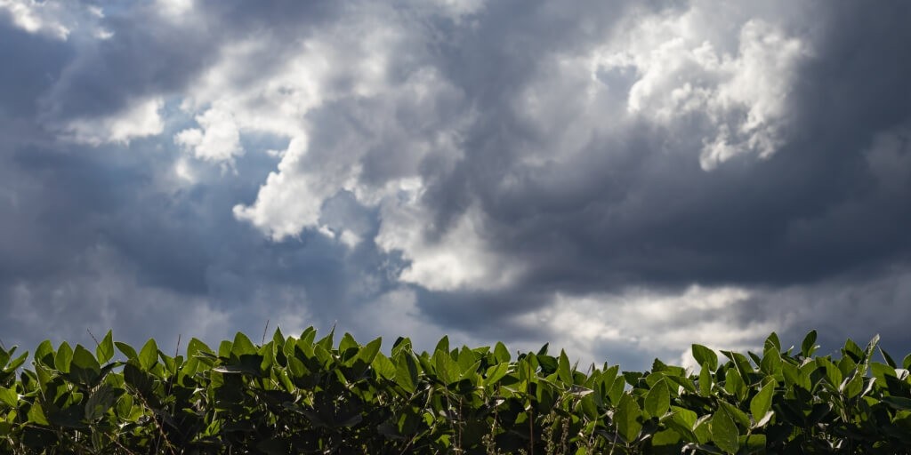lavoura e um ceu escuro e nublado representando la nina brasil