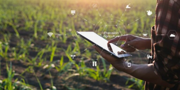 agricultor com tablet em maos e elementos digitais graficos em volta com lavoura de milho jovem ao fundo representando indice de vegetacao