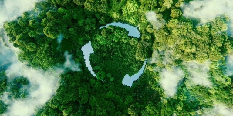 vista superior de uma floresta com nuvens e o simbolo de reciclagem ao meio representando o hvo